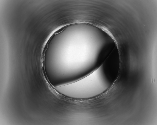 X0000087351148200704271415