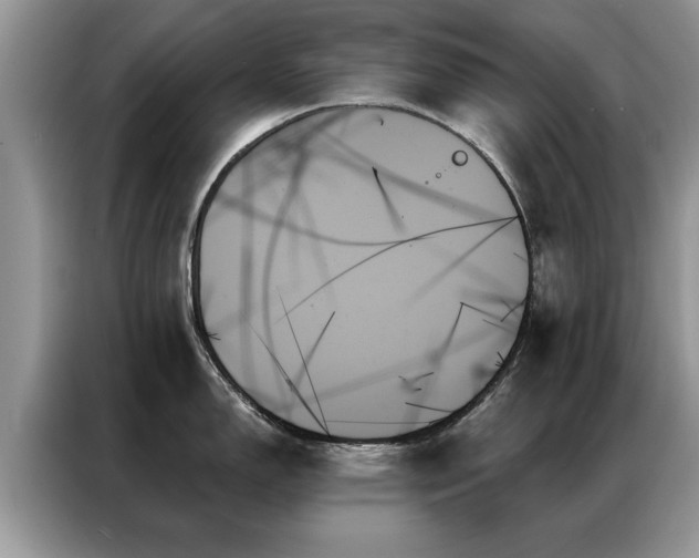 X0000087351150200704271415