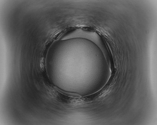X0000087351156200704271414