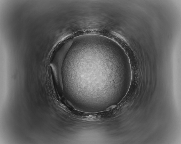 X0000087351160200704271414