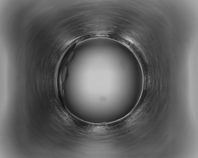 X0000087351161200704271414
