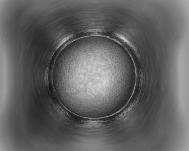 X0000087351162200704271414