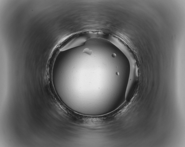 X0000087351164200704271414