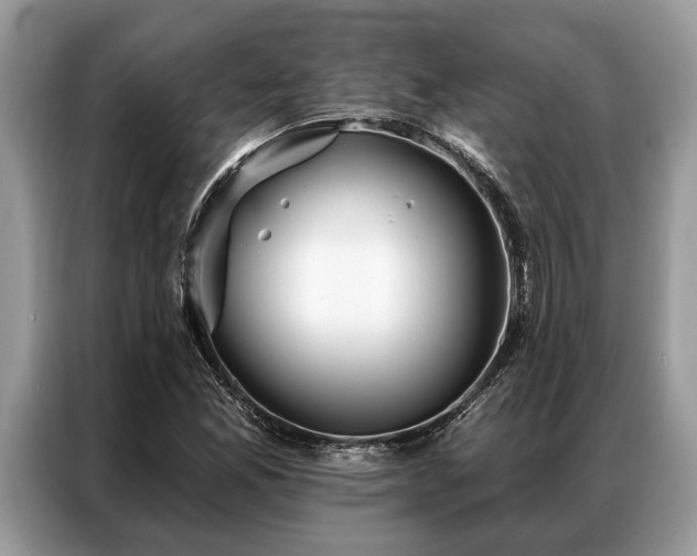 X0000087351165200704271414