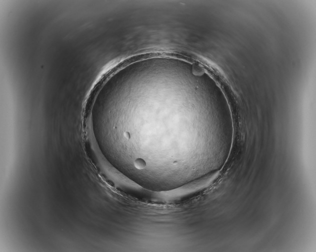 X0000087351168200704271414