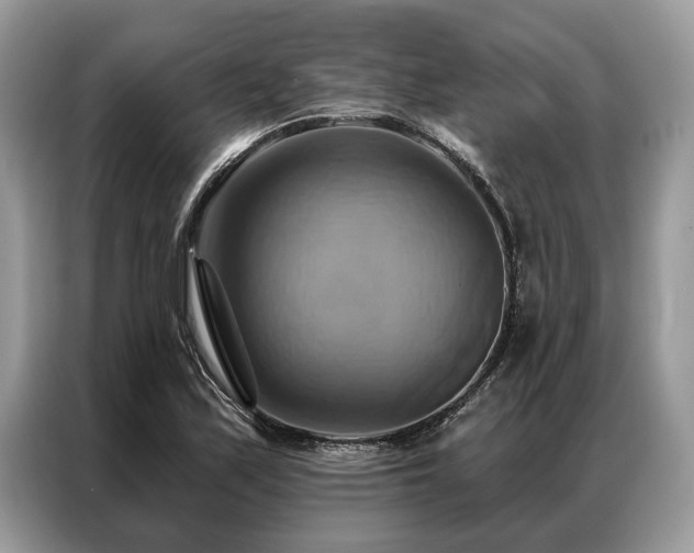 X0000087351171200704271414