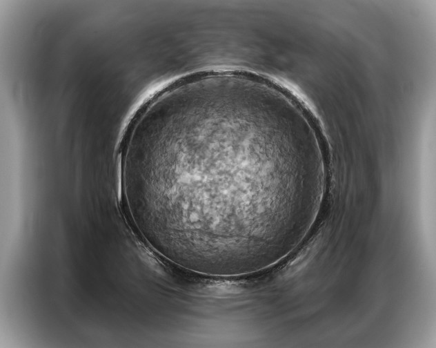 X0000087351175200704271414