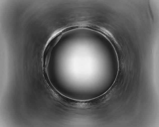 X0000087351176200704271414