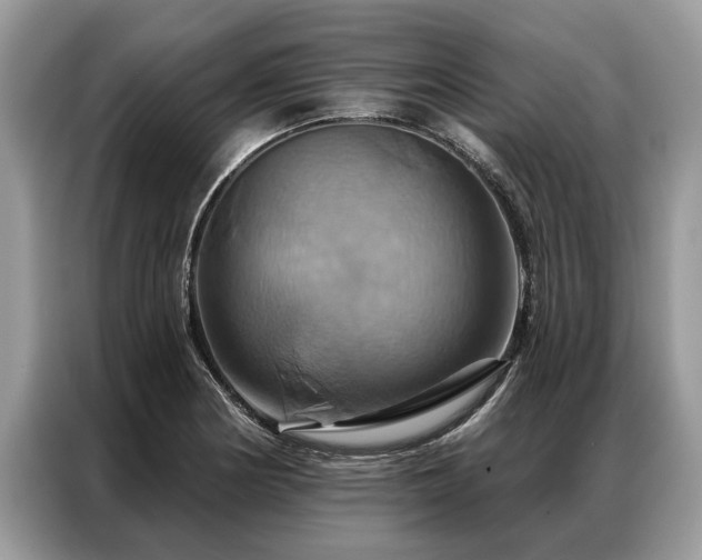 X0000087351178200704271414