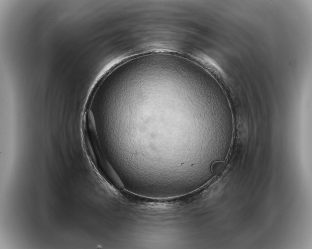X0000087351182200704271414