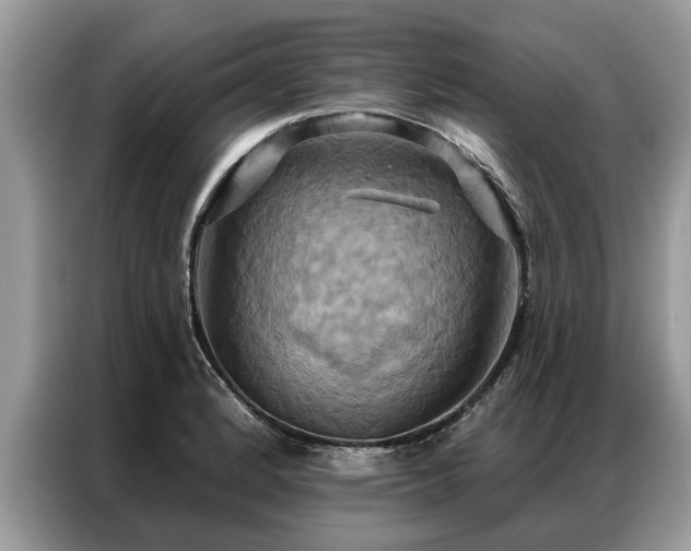 X0000087351184200704271414