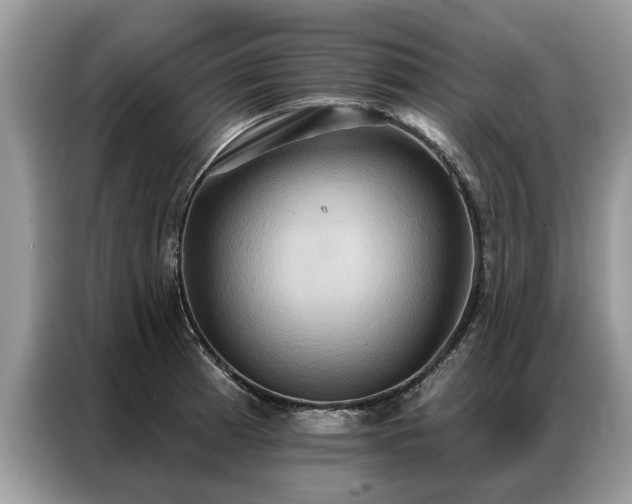 X0000087351185200704271414