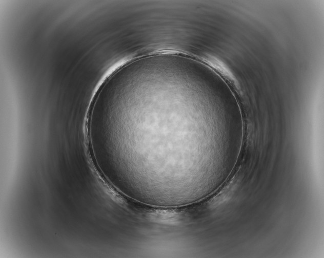 X0000087351190200704271414