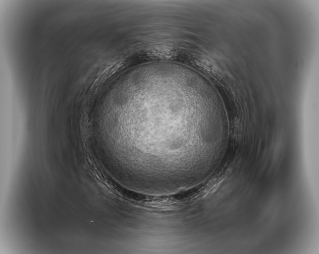 X0000087351201200704271413