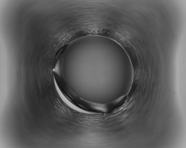 X0000087351202200704271413