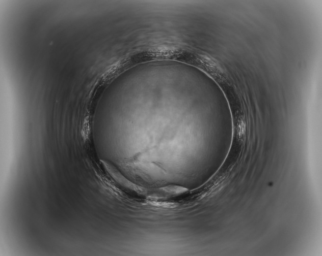 X0000087351204200704271413