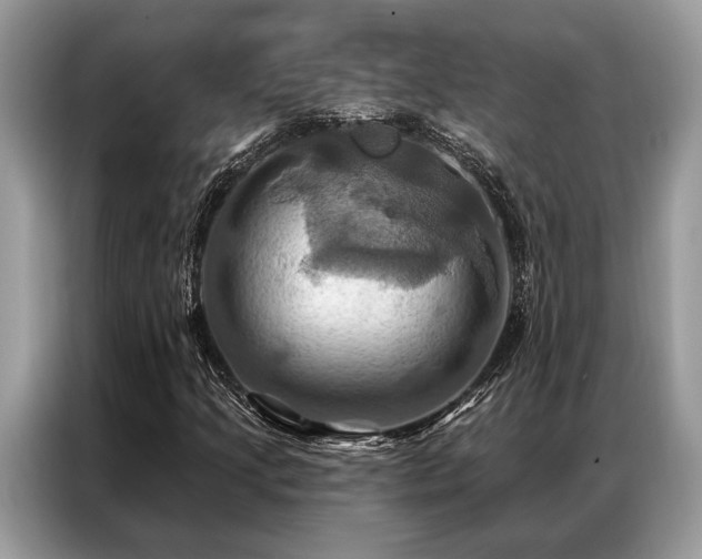 X0000087351205200704271413