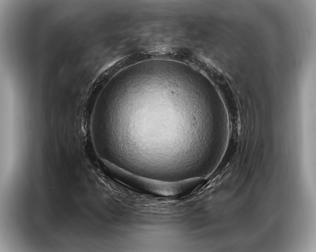 X0000087351206200704271413