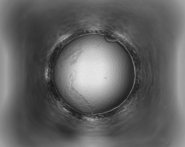 X0000087351207200704271413