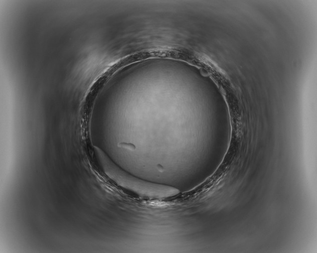 X0000087351208200704271413