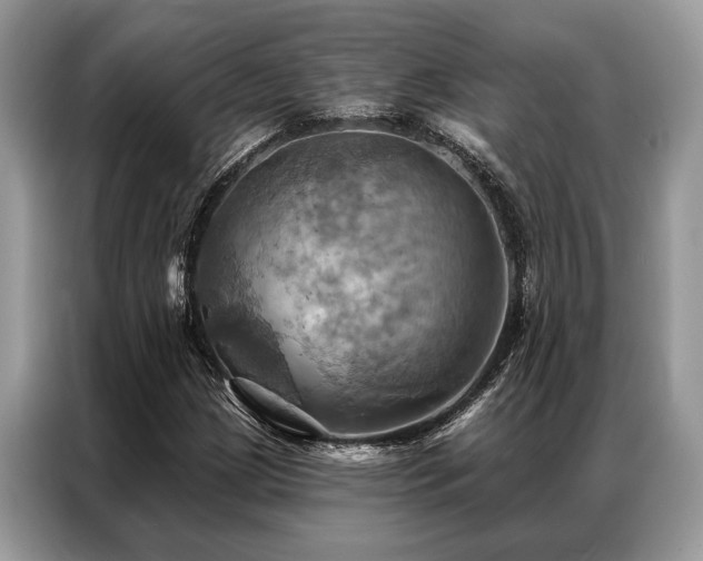 X0000087351209200704271413