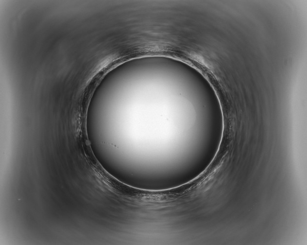 X0000087351211200704271413