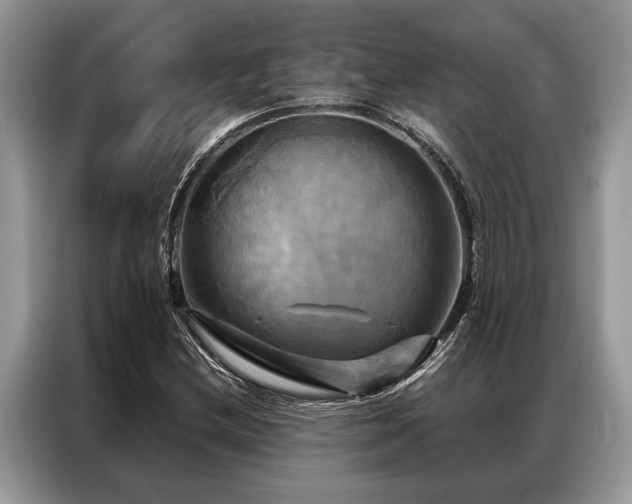 X0000087351212200704271413