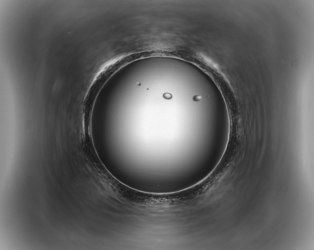 X0000087351214200704271413
