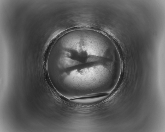 X0000087351215200704271413