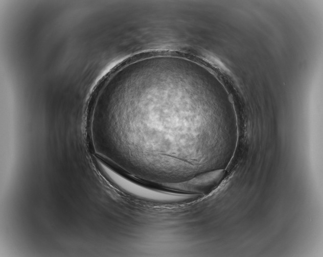 X0000087351216200704271413