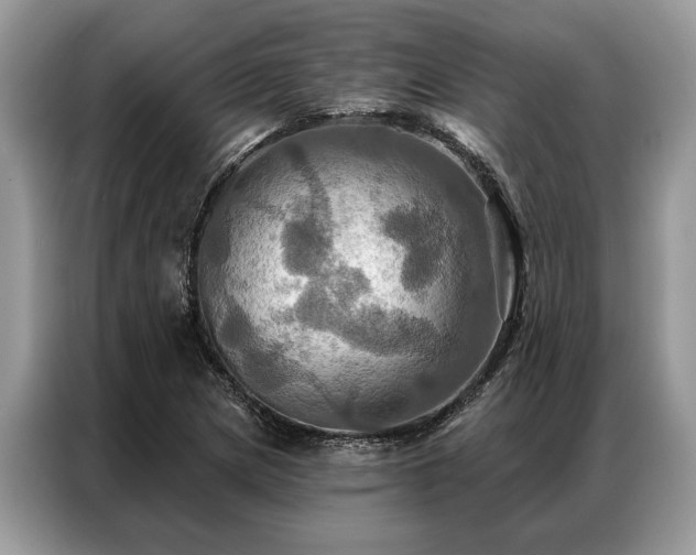X0000087351217200704271413