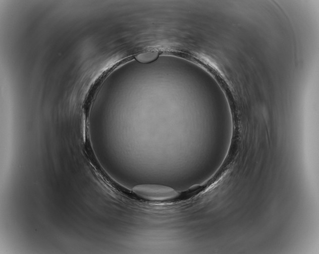 X0000087351219200704271413
