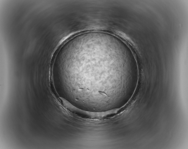 X0000087351220200704271413