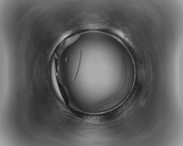 X0000087351221200704271413
