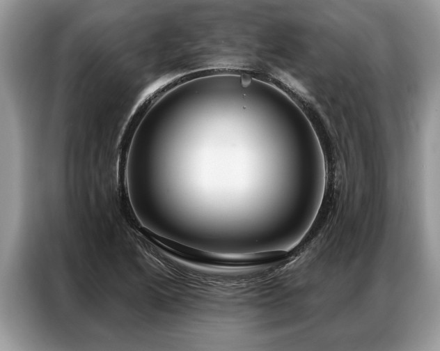 X0000087351222200704271413