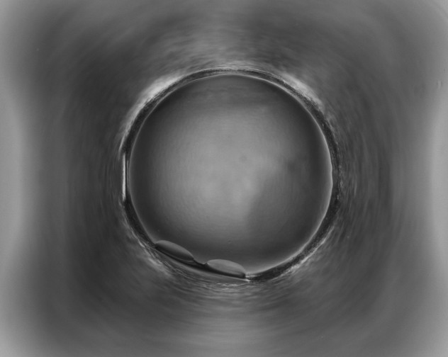 X0000087351223200704271413
