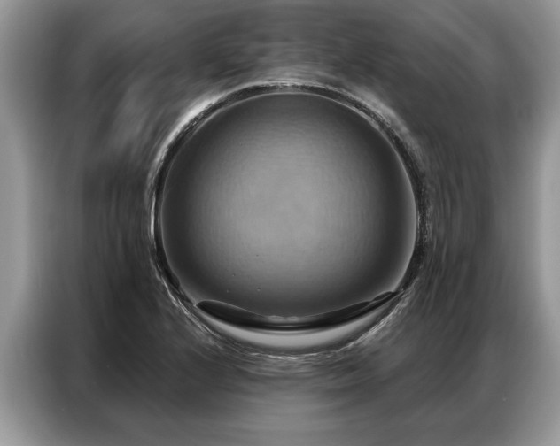 X0000087351224200704271413