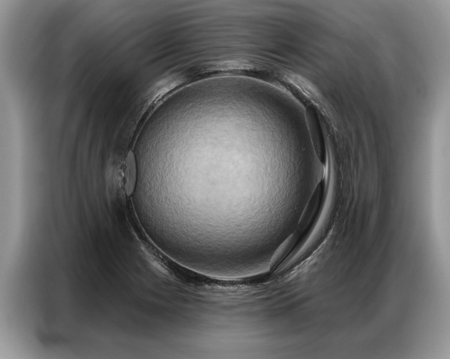 X0000087351225200704271413