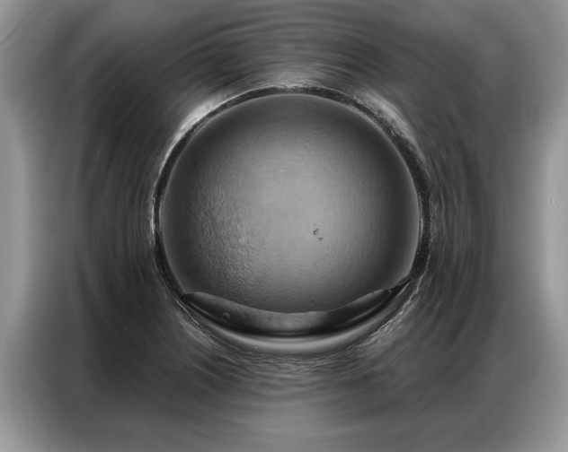 X0000087351226200704271413