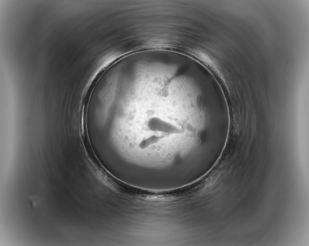 X0000087351227200704271413
