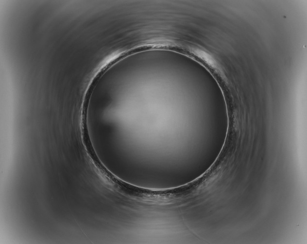X0000087351229200704271413