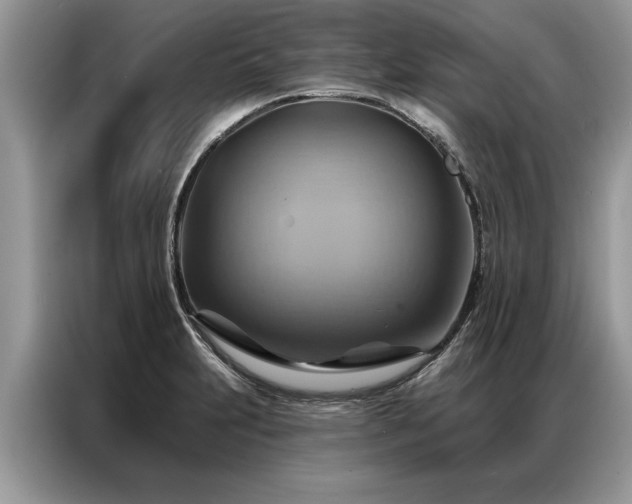 X0000087351231200704271413