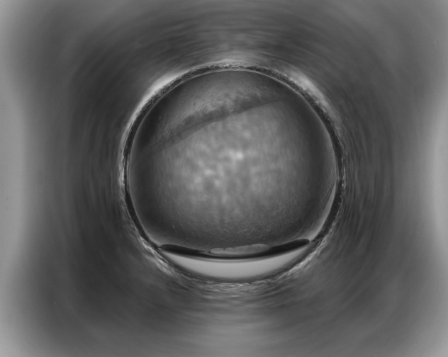 X0000087351232200704271413