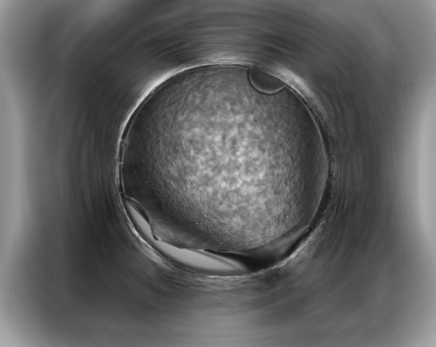 X0000087351236200704271414