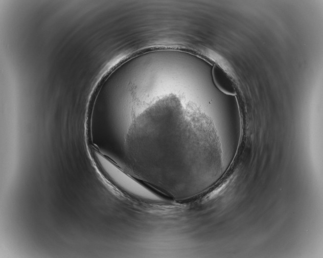 X0000087351237200704271414