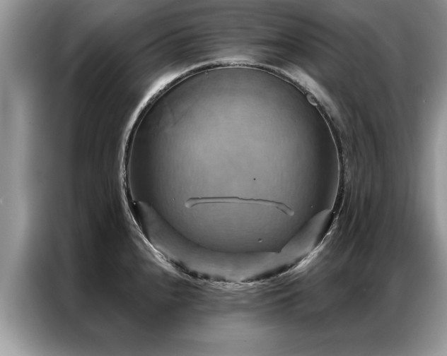 X0000087351240200704271414