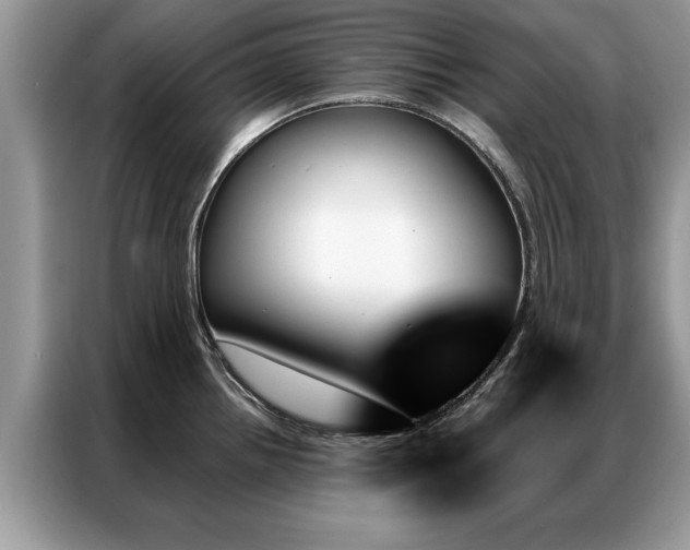X0000087351242200704271414