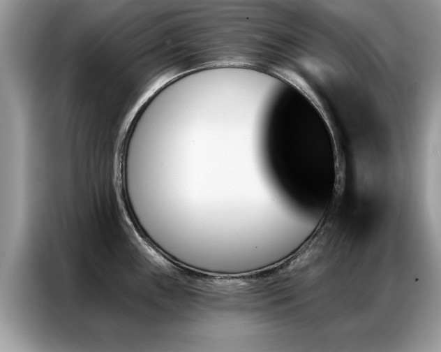 X0000087351243200704271414