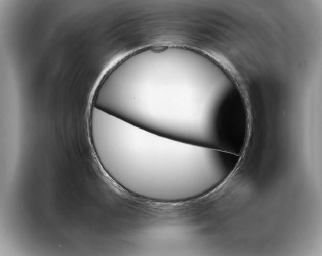 X0000087351248200704271414