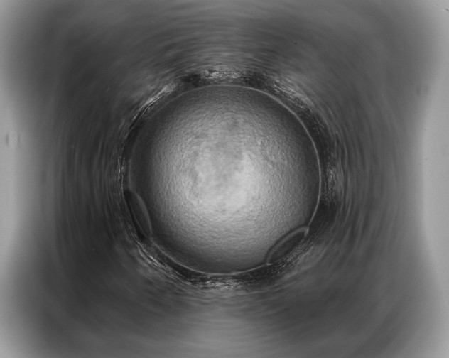 X0000087351250200704271413